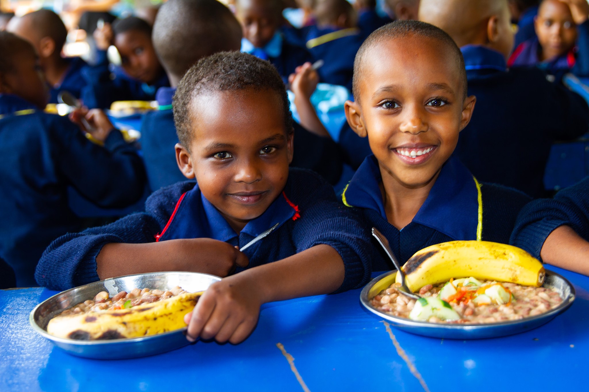 Typical school lunch for students